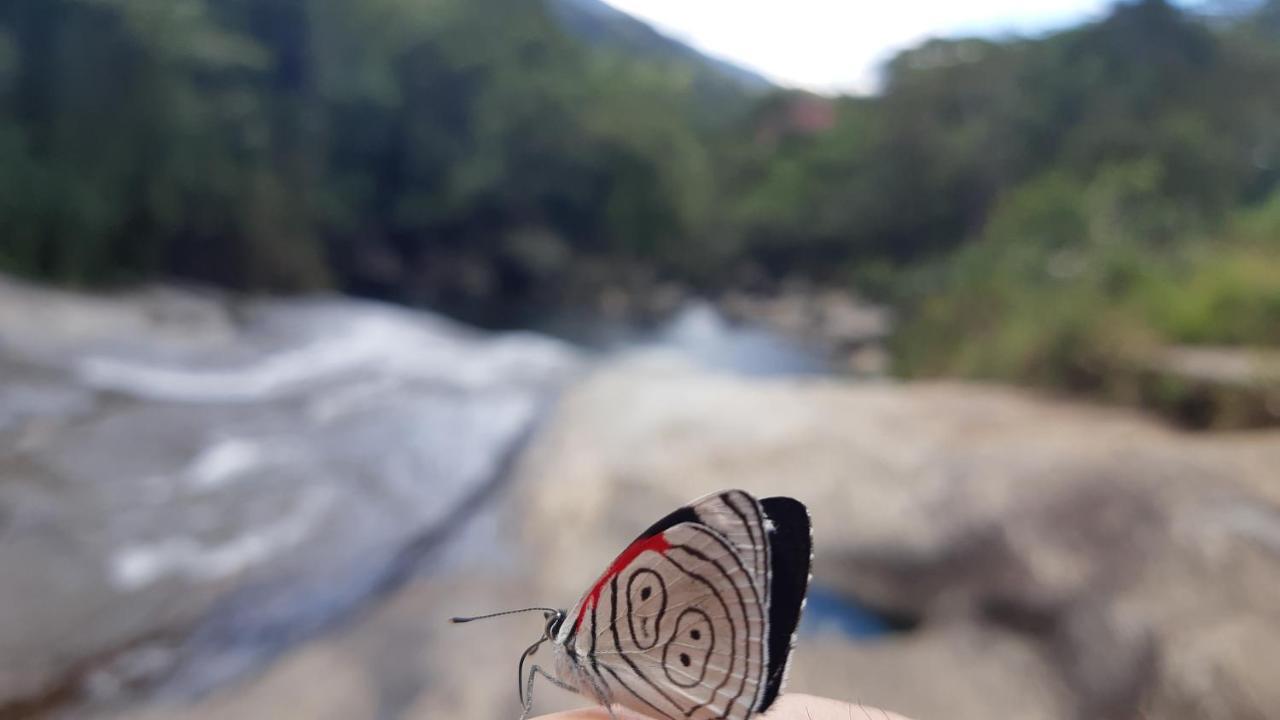 Pousada Gaia วิสกอนจิ จิ เมาอา ภายนอก รูปภาพ