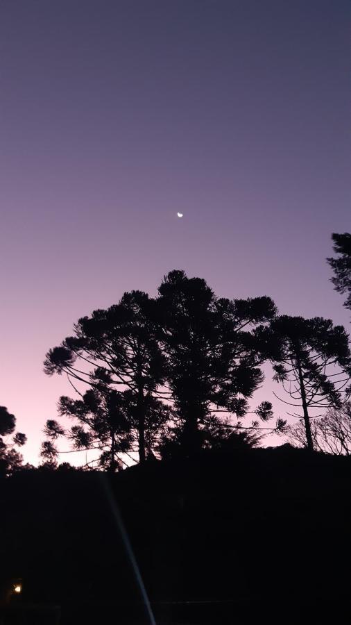 Pousada Gaia วิสกอนจิ จิ เมาอา ภายนอก รูปภาพ