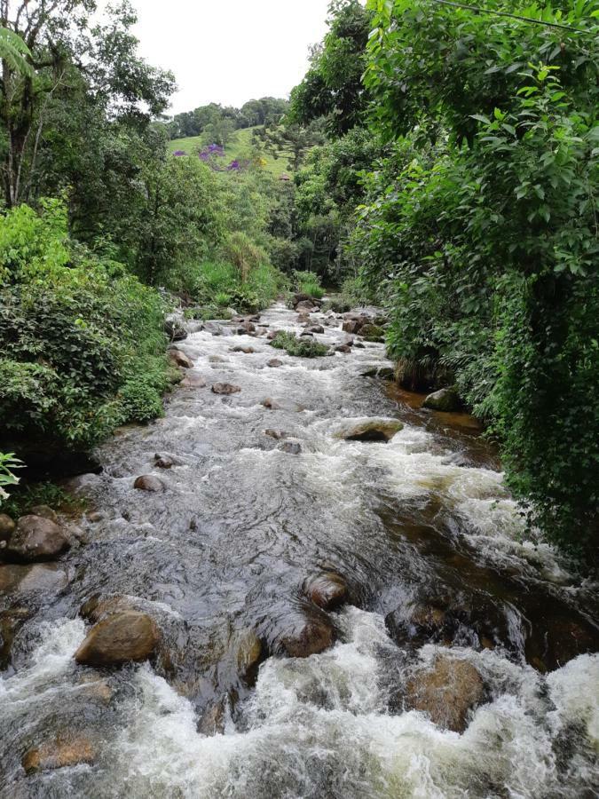 Pousada Gaia วิสกอนจิ จิ เมาอา ภายนอก รูปภาพ