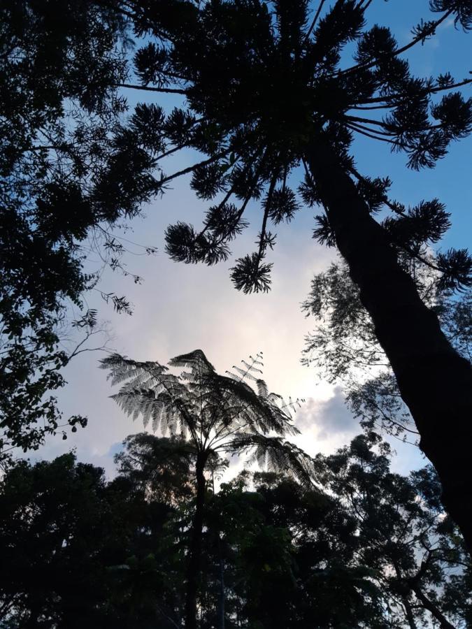 Pousada Gaia วิสกอนจิ จิ เมาอา ภายนอก รูปภาพ