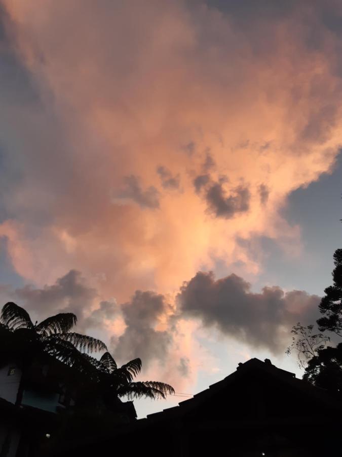 Pousada Gaia วิสกอนจิ จิ เมาอา ภายนอก รูปภาพ