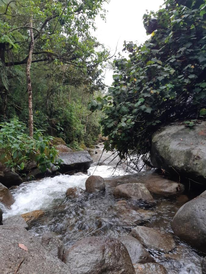 Pousada Gaia วิสกอนจิ จิ เมาอา ภายนอก รูปภาพ